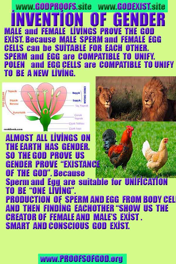 god's proofs