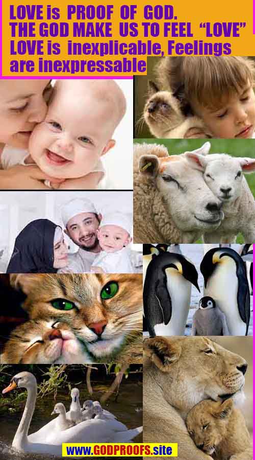 evidences of god