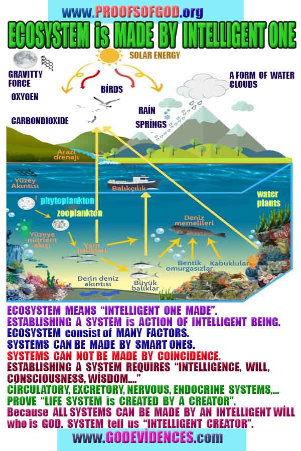 god's evidence