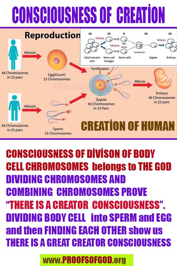 evidences and proofs god exists and real 