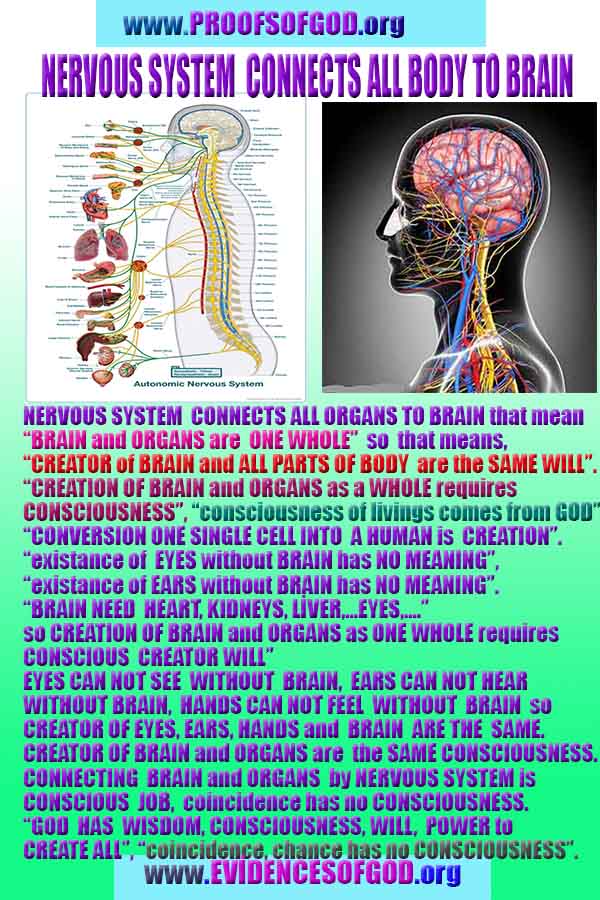 god is real evidences and proofs