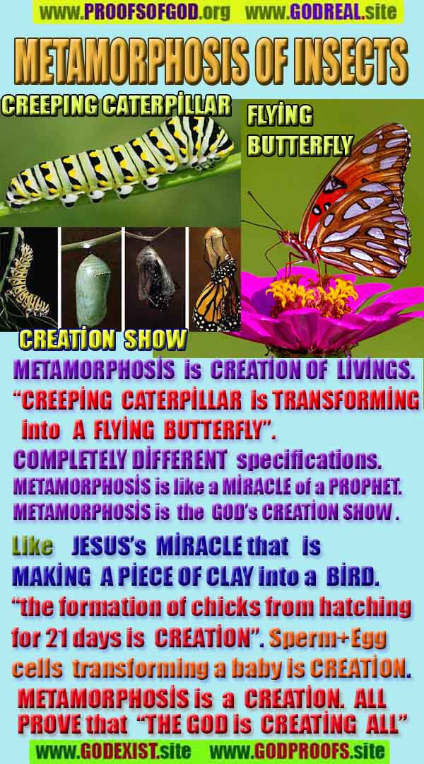 god exists proofs
