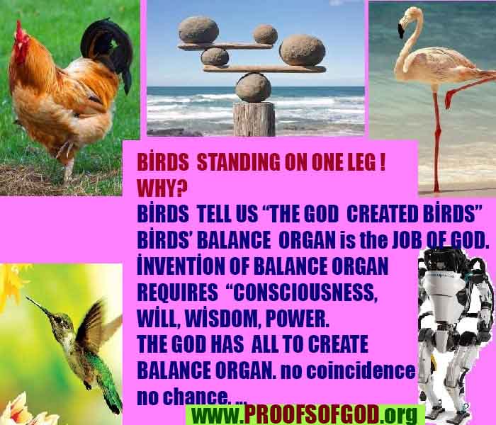 god is real evidences and proofs