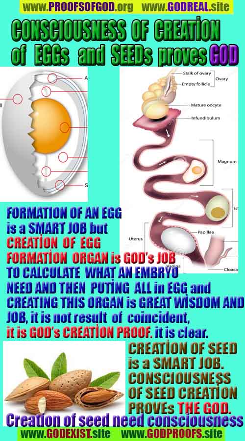 evidences of god