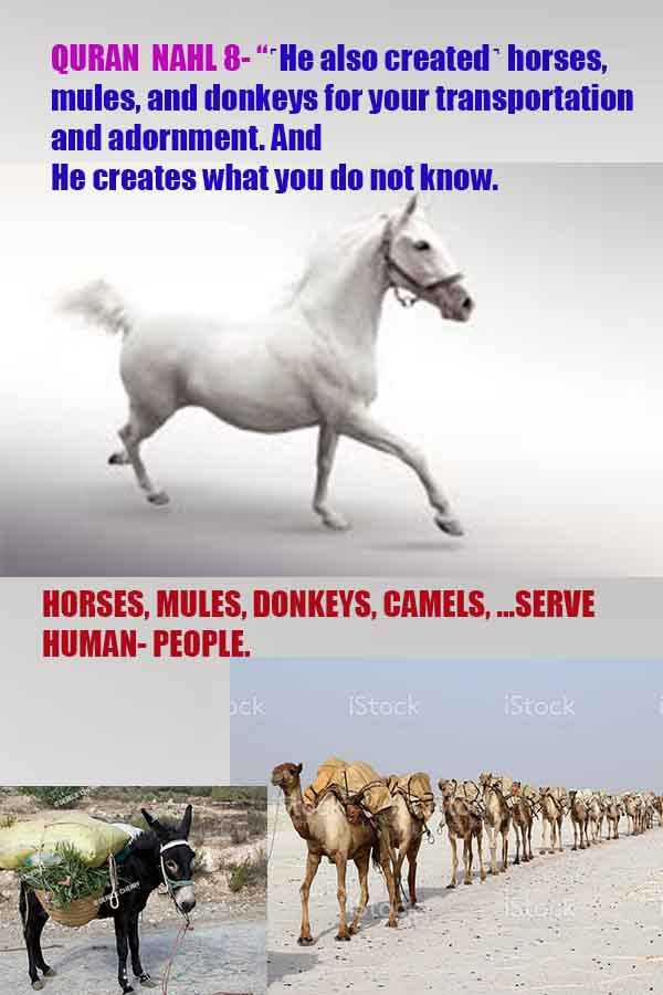 god's proofs