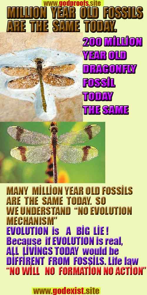 god's evidence